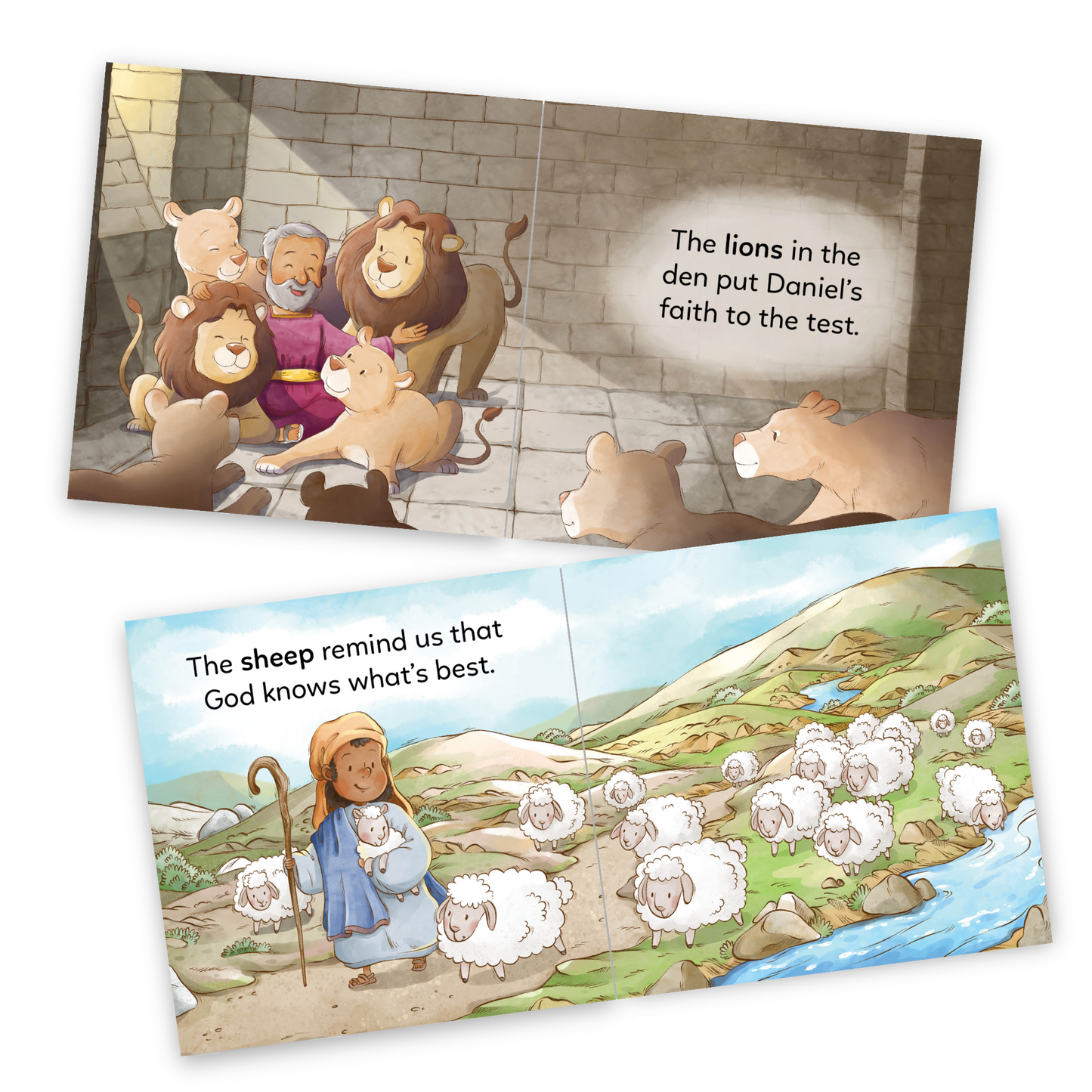 A Little Christian's Animals (Hardcover)
